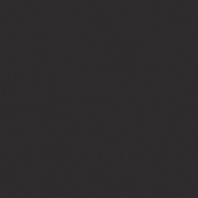 RW10 60*60 (Керамический гранит) (0,33S сорт 1) м2