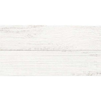 1.54 Сан-Ремо белый 250х500 Плитка